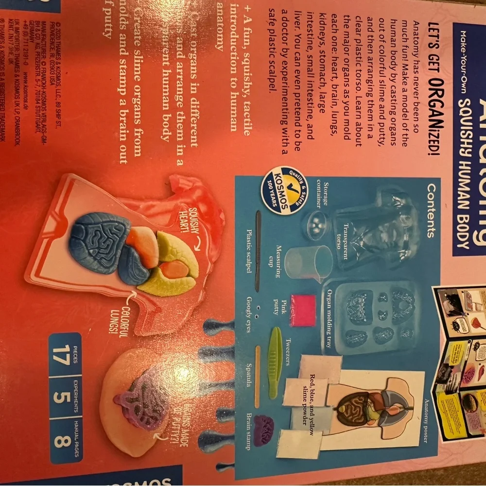 Squishy Human Body Anatomy Kit